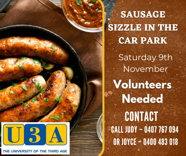 Sausage sizzle - car park sale (2)