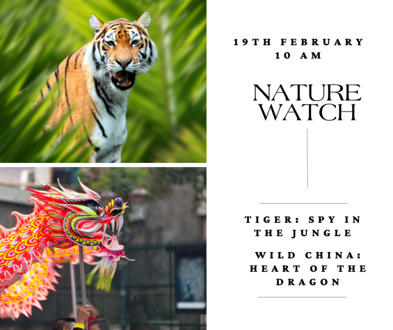 nature watch 19th february