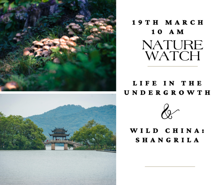 nature watch 19th march
