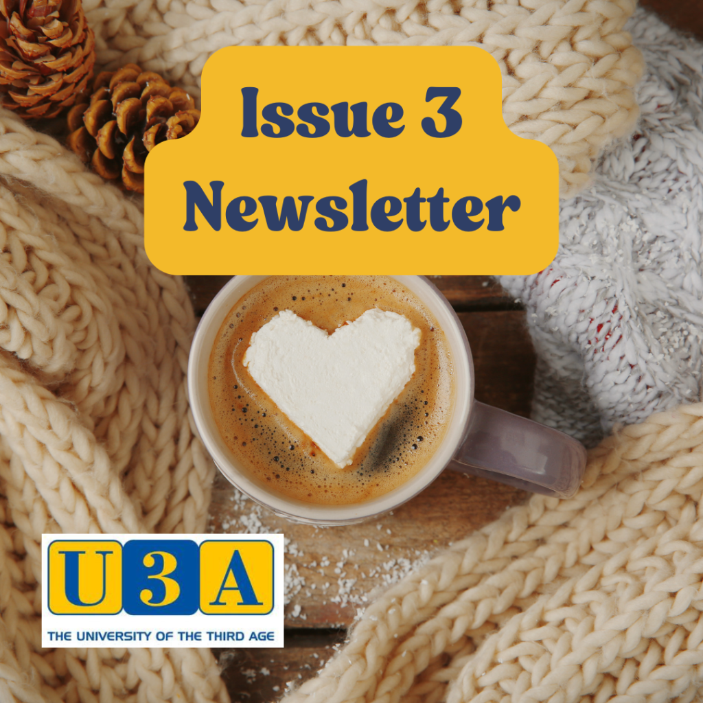 issue 3 newsletter social