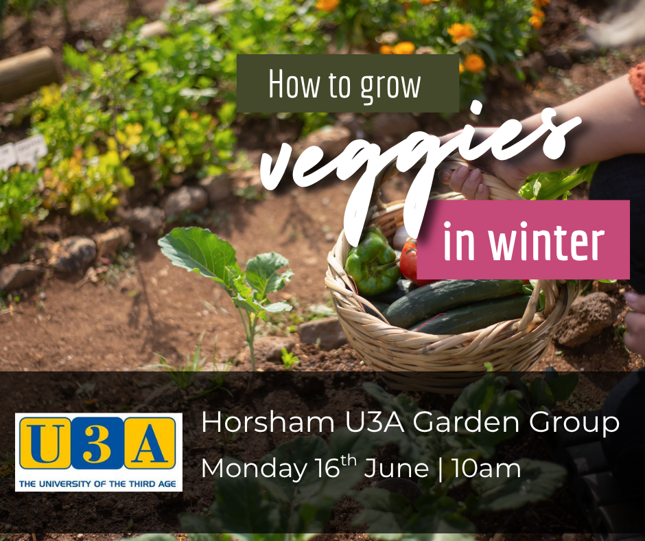 grow veggies in winter
