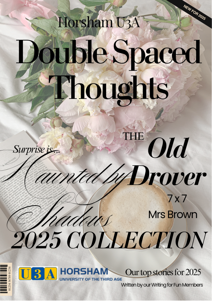 Writing for Fun Group Stories 2025