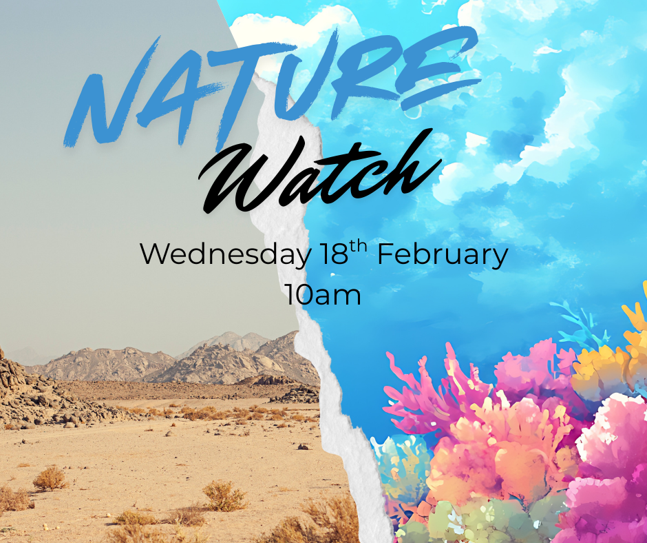 Nature Watch