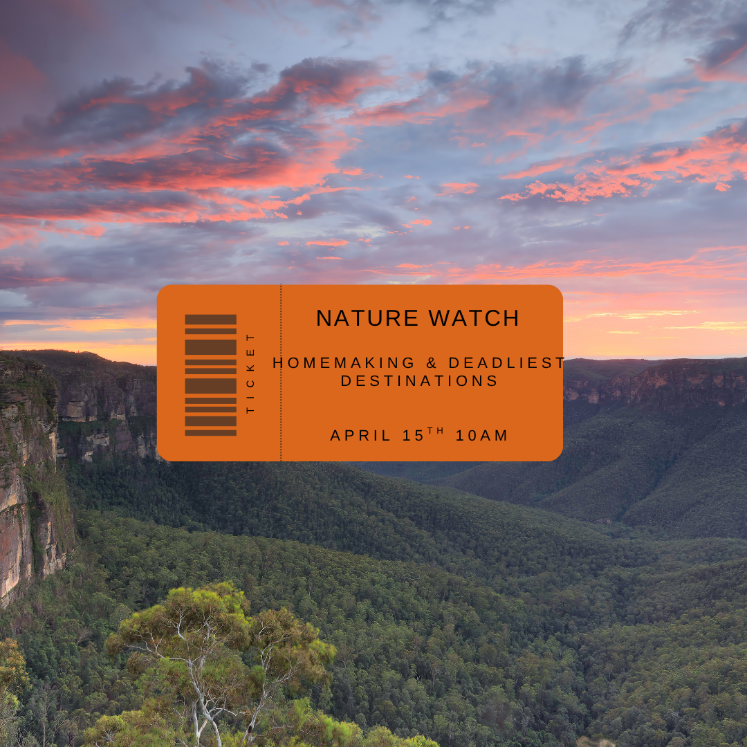 nature watch - april 15