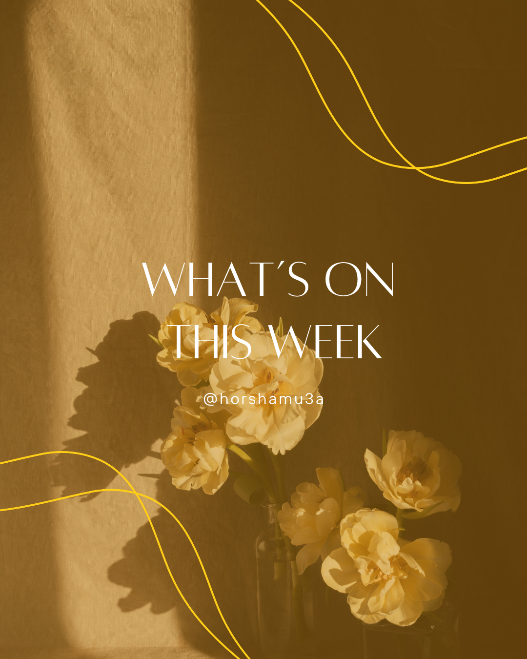 'S ON WEEK 24-28