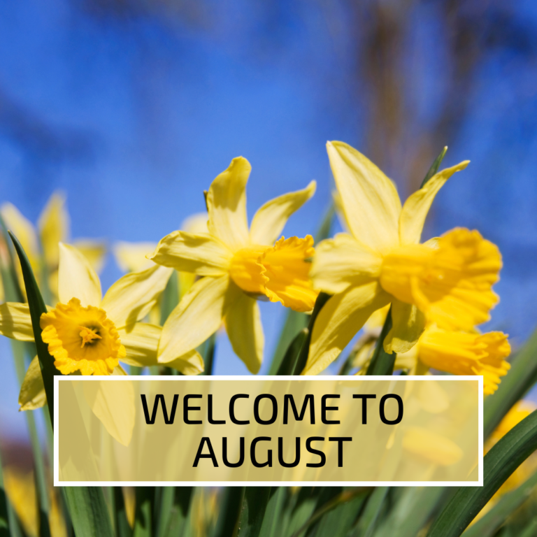 Welcome to August