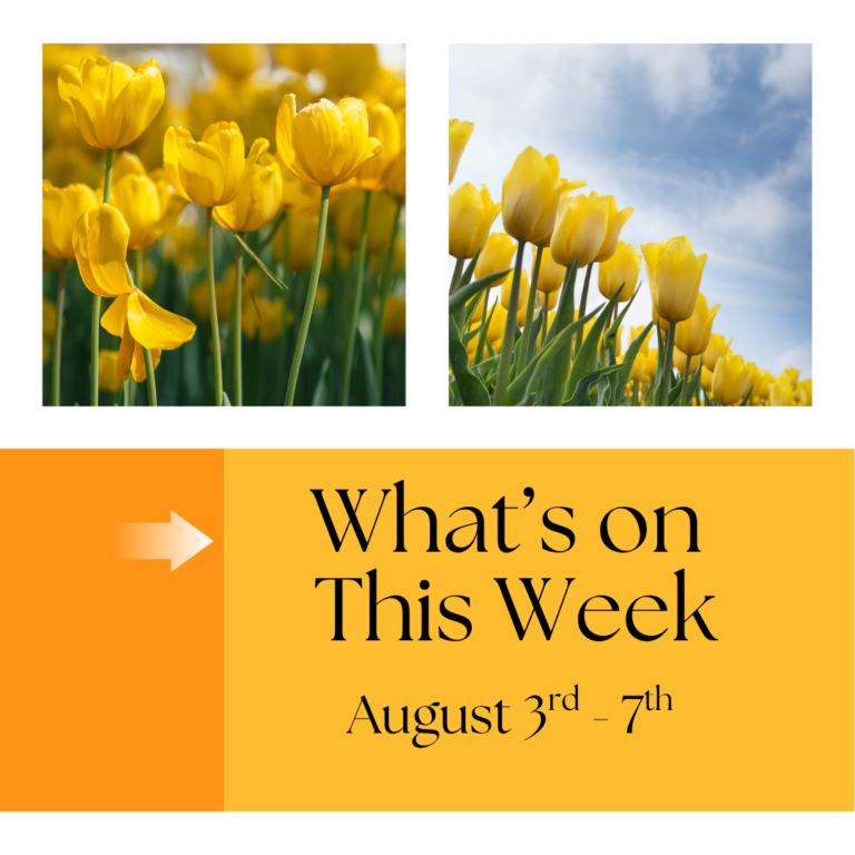 What’s On This Week: August 3rd – 7th